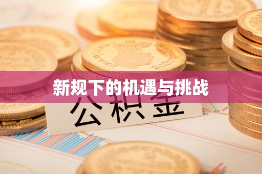 邕宁新规下的机遇与挑战