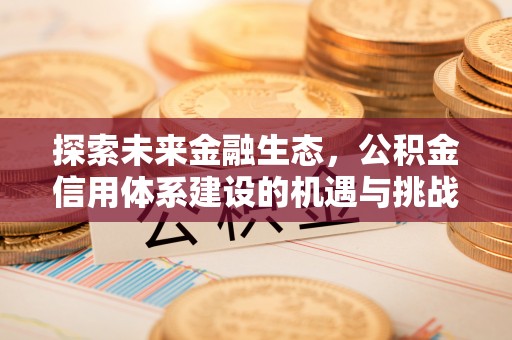 邕宁探索未来金融生态，公积金信用体系建设的机遇与挑战