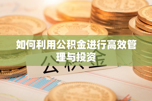 邕宁如何利用公积金进行高效管理与投资